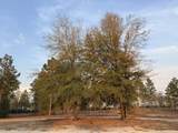 734 State Park Road - Photo 10