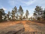 734 State Park Road - Photo 5