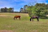 125 Peach Cider Road - Photo 16