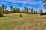 125 Peach Cider Road - Photo 17
