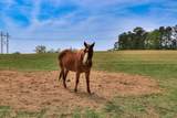 125 Peach Cider Road - Photo 22