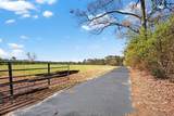 701 Wire Road - Photo 50