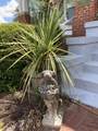183 Main Street - Photo 80