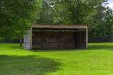 215 Filly Drive - Photo 47