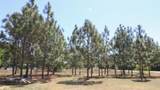 6227 Hollow Creek Road - Photo 20