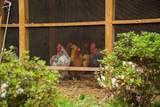 5200 Sizemore Circle - Photo 48