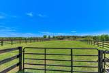 929 Airport Road - Photo 37