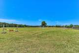 929 Airport Road - Photo 45