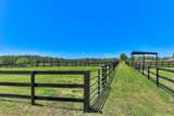 929 Airport Road - Photo 80