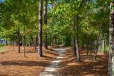 187 Bluet Loop - Photo 45