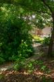 1049 Edisto Lake Road - Photo 88