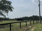 8520 Stock Horse Trail - Photo 15