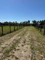 08 Shaws Fork Road - Photo 5