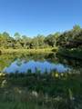 08 Shaws Fork Road - Photo 9