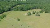 41 Acres Whiskey Road - Photo 15