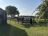 929 Airport Road - Photo 85
