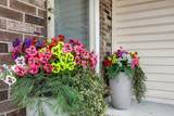 504 Hickory Avenue - Photo 6
