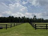 102 Deer Stand Road - Photo 17