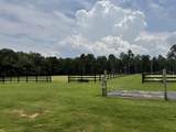 102 Deer Stand Road - Photo 18
