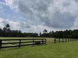 102 Deer Stand Road - Photo 19