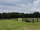 102 Deer Stand Road - Photo 20