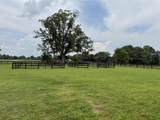 102 Deer Stand Road - Photo 23