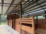 102 Deer Stand Road - Photo 24