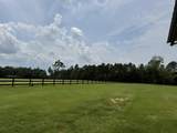 102 Deer Stand Road - Photo 25