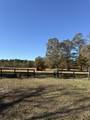 1988 Coleman Bridge Road - Photo 15