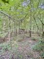 157 Promised Land Road - Photo 9