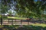 721 Riding Ridge Court - Photo 10