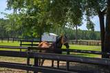 721 Riding Ridge Court - Photo 11