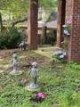 313 Live Oak Road - Photo 84