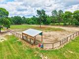 1377 Pine Road - Photo 25