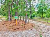 1377 Pine Road - Photo 8