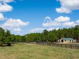 1084 Farnum Road - Photo 91