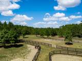 1084 Farnum Road - Photo 92