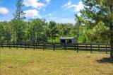1084 Farnum Road - Photo 93