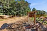 161 Daniel Boone Drive - Photo 4