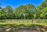 1002 Main Street - Photo 65