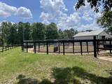325 Flowing Well Road - Photo 46