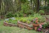 213 Birch Tree Circle - Photo 41