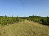 1501 Wire Road Road - Photo 11