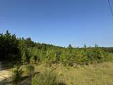 1501 Wire Road Road - Photo 13