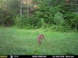 1501 Wire Road Road - Photo 18
