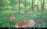 1501 Wire Road Road - Photo 20
