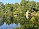 1501 Wire Road Road - Photo 7