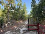 1501 Wire Road Road - Photo 9