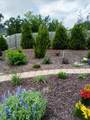 4932 Fairmont Drive - Photo 38