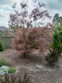 4932 Fairmont Drive - Photo 40